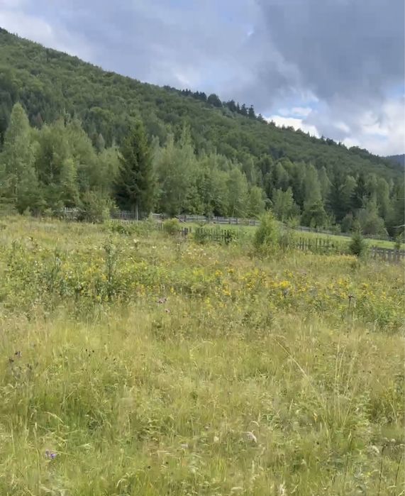 Продаж Ділянки У Пейзажному Місці Біля Гір Івано-франківська обл