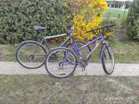 Dwa rowery 300 złotych