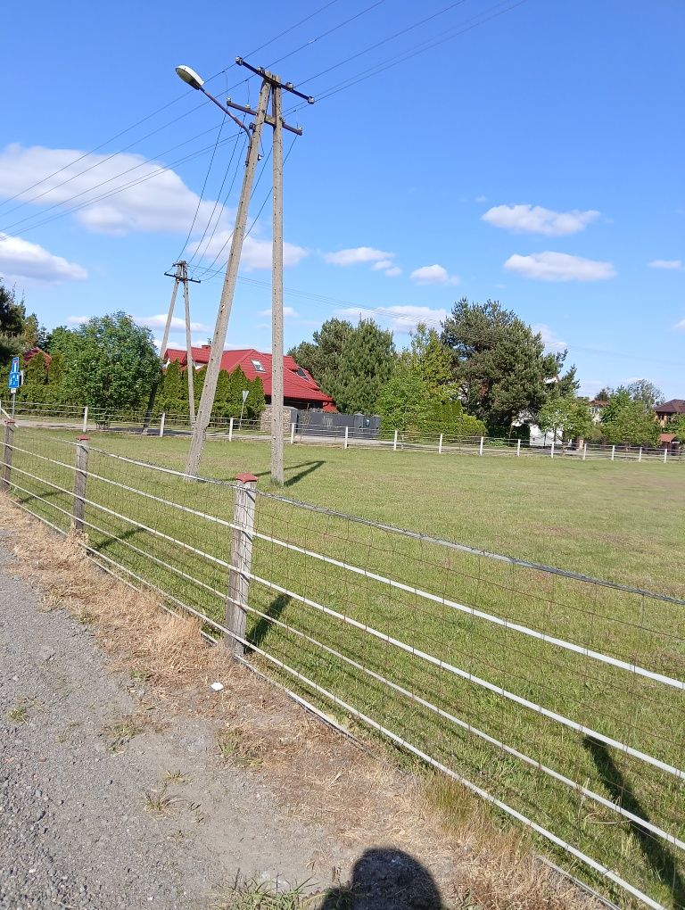 Zajmuje się pracami ogrodniczymi