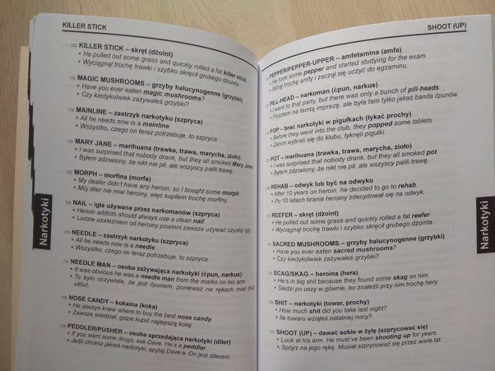 Książka "Słownik slangu angielskiego"