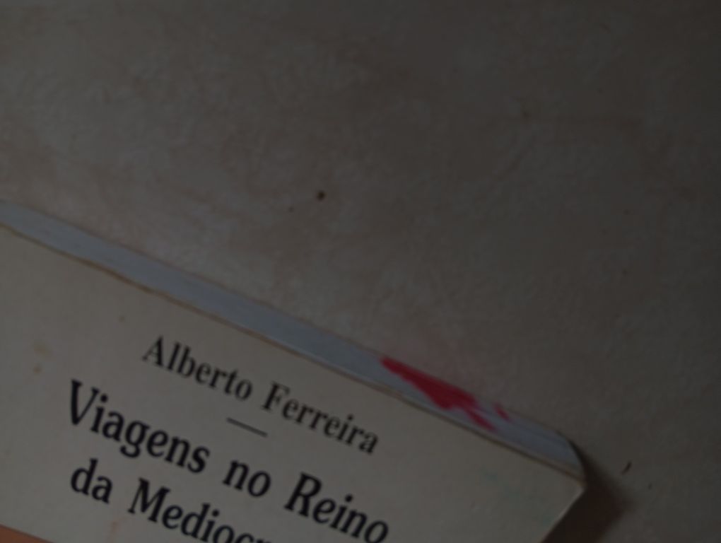 Viagens no reino da mediocracia, Alberto Ferreira.