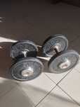 Halteres de 10kg
