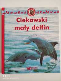 Ciekawski mały delfin