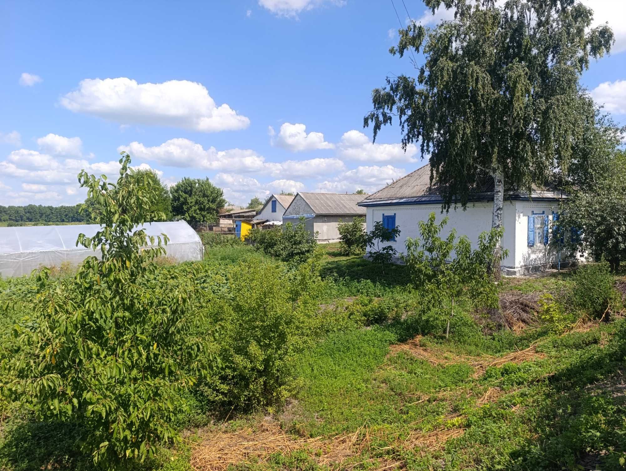Продаж будинку в с.Ковтуни