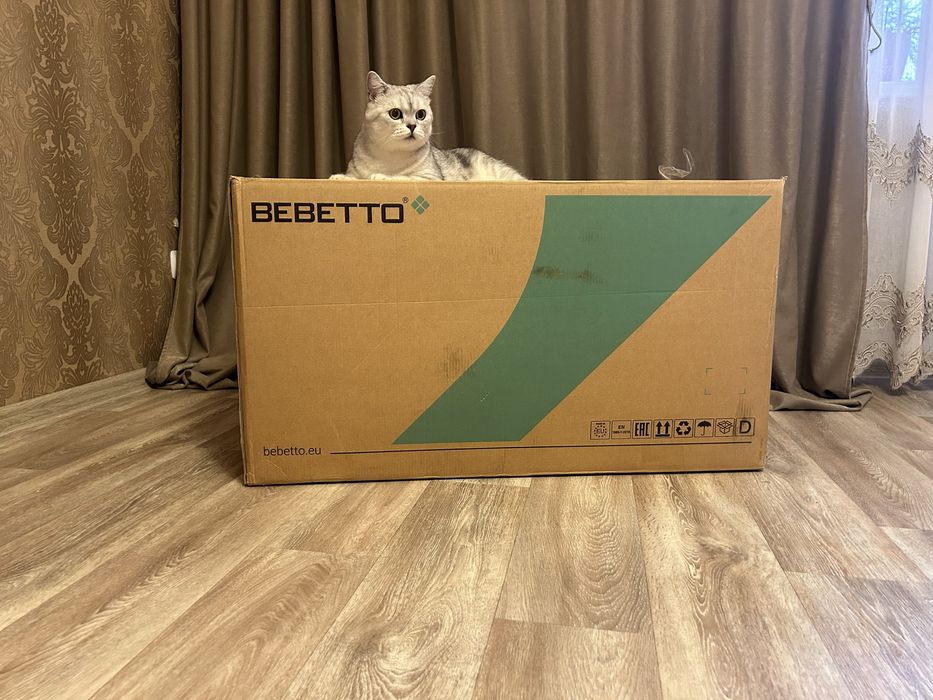 Коляска Bebetto Pascal 2 в 1