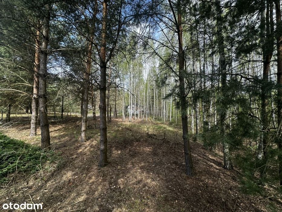 Działka 1 334 m² pod zabudowę rekreacyjną – Borówek, 45min od Warszawy