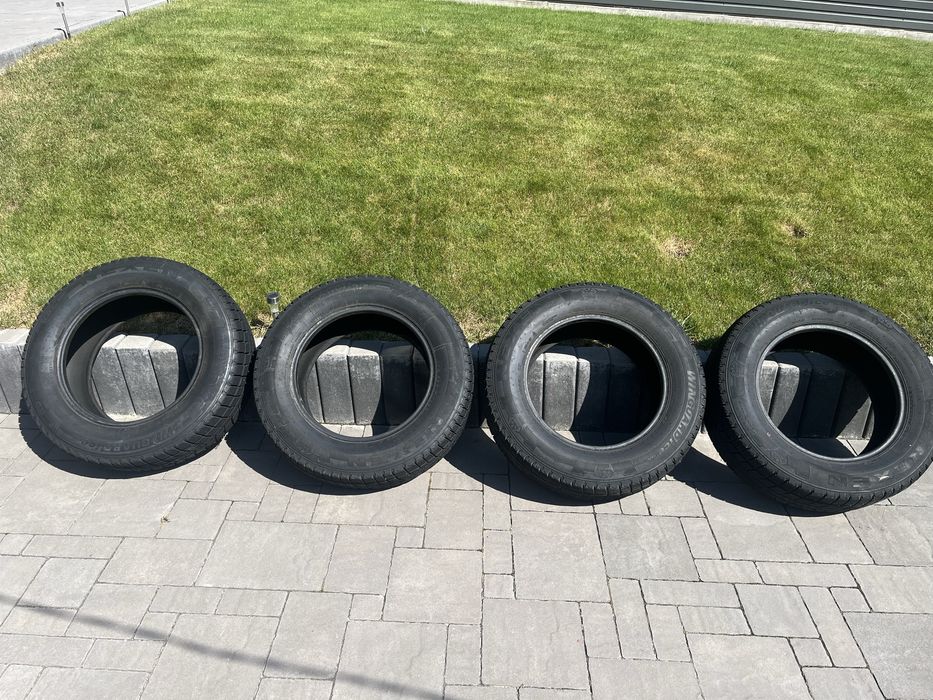 Nexen Winguard Ice suv 235/65 r17