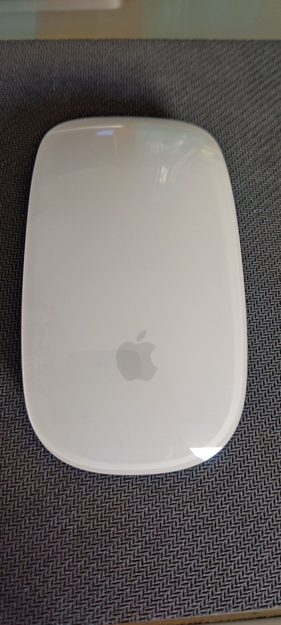 Apple Magic Mouse novo