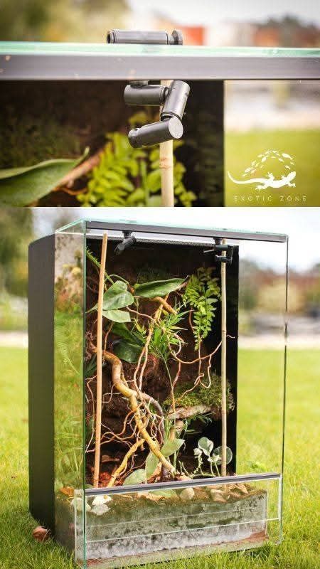Terrarium tropikalne z żywymi roślinami dla drzewołazów, żab, gekonów