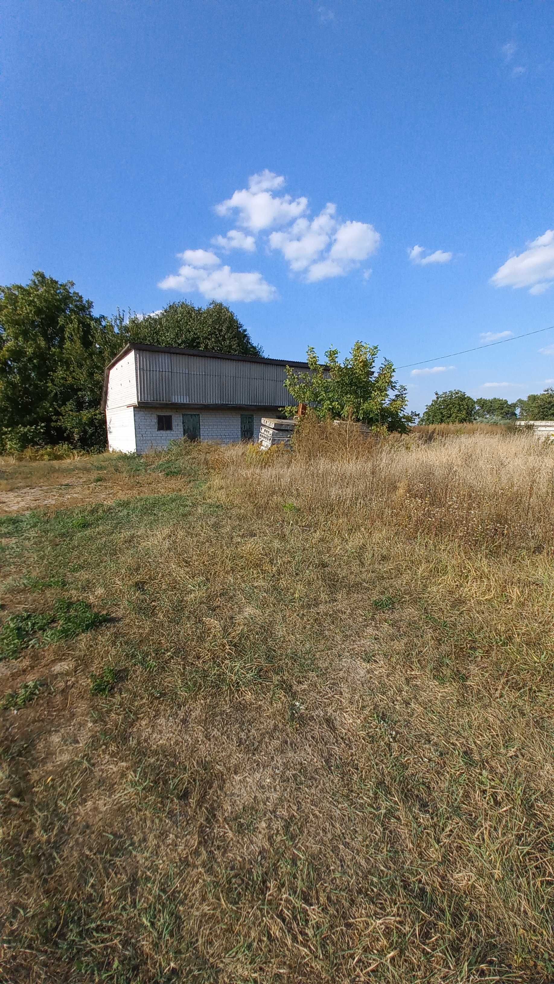 Ділянка село Плоске Плоское Київської області з будівлею 22 сотки