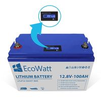 EU Літій-залізо-фосфатний акумулятор LiFePO4 12В 100Aг не гелевий, AGM