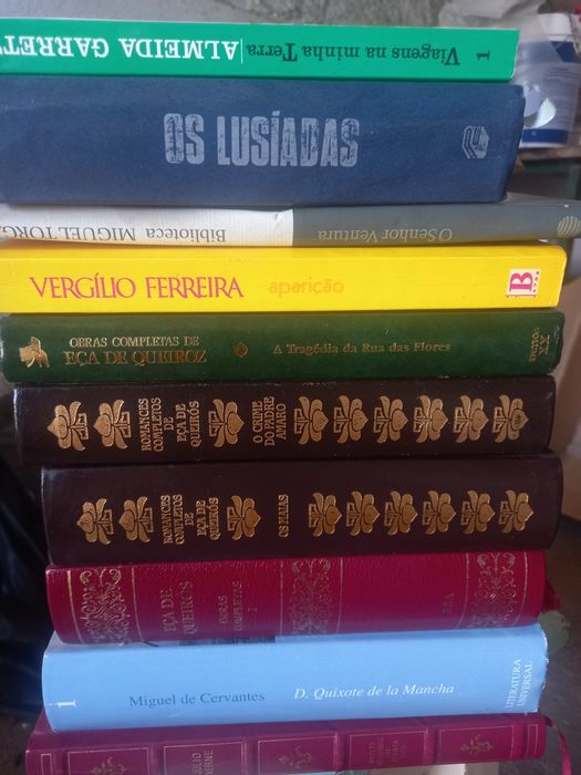 Livros usados diversos temas