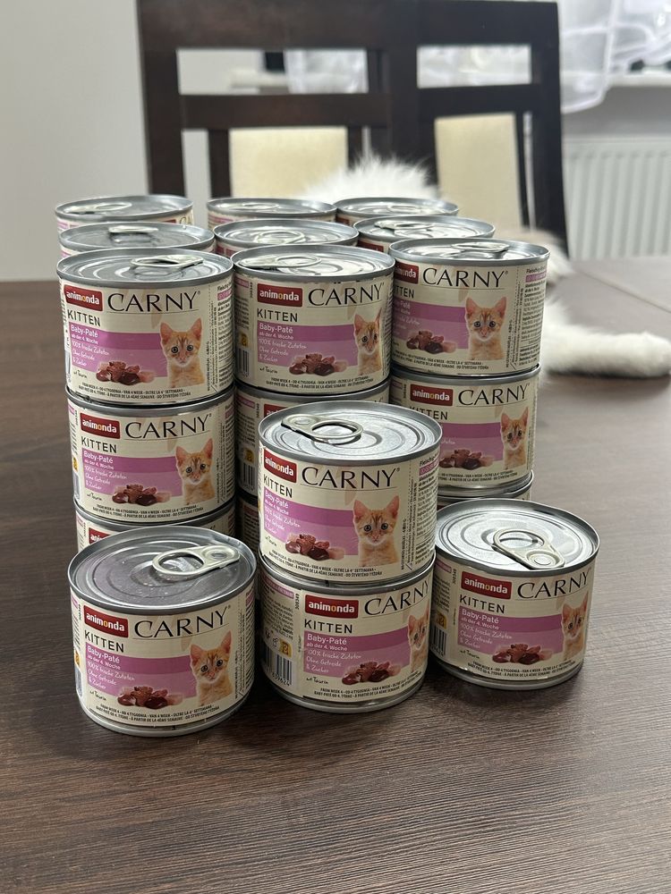 31 szt Animonda Carny Kitten baby pate mokra karma dla kociąt