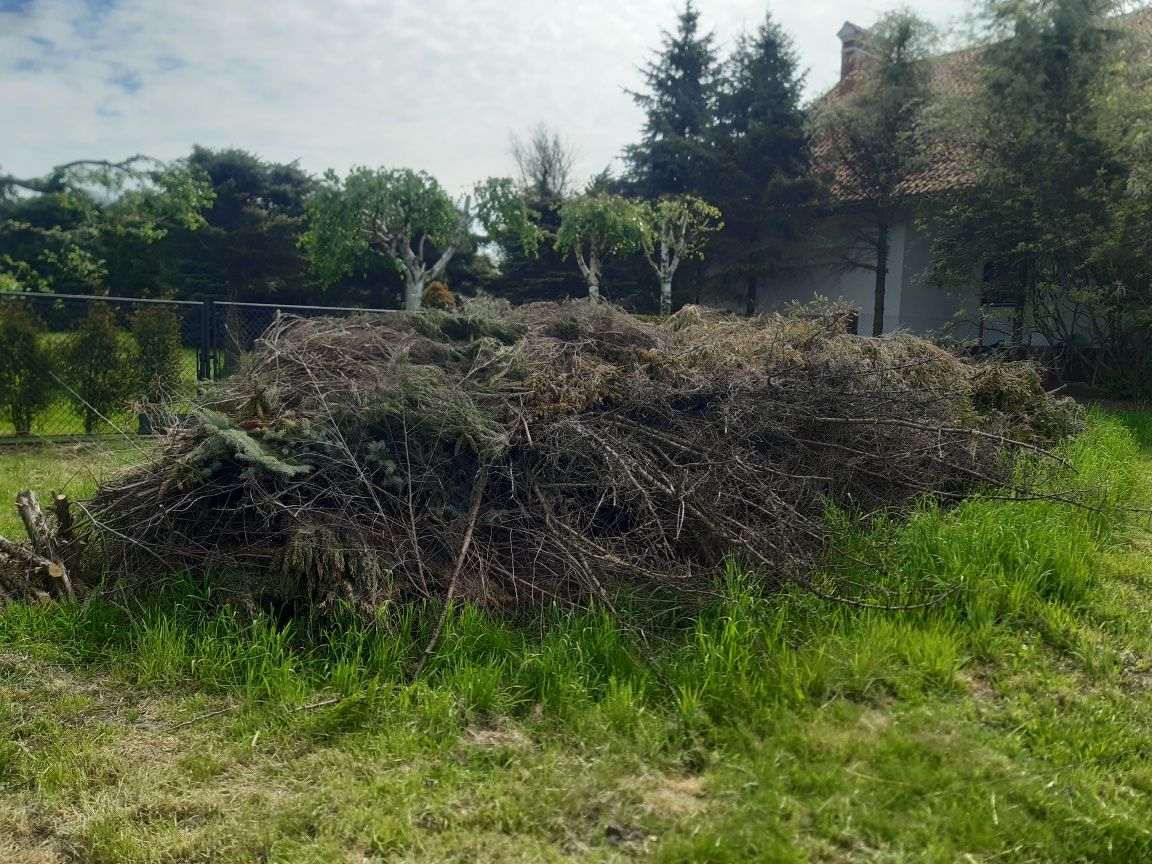 Drewno-Gałezie .