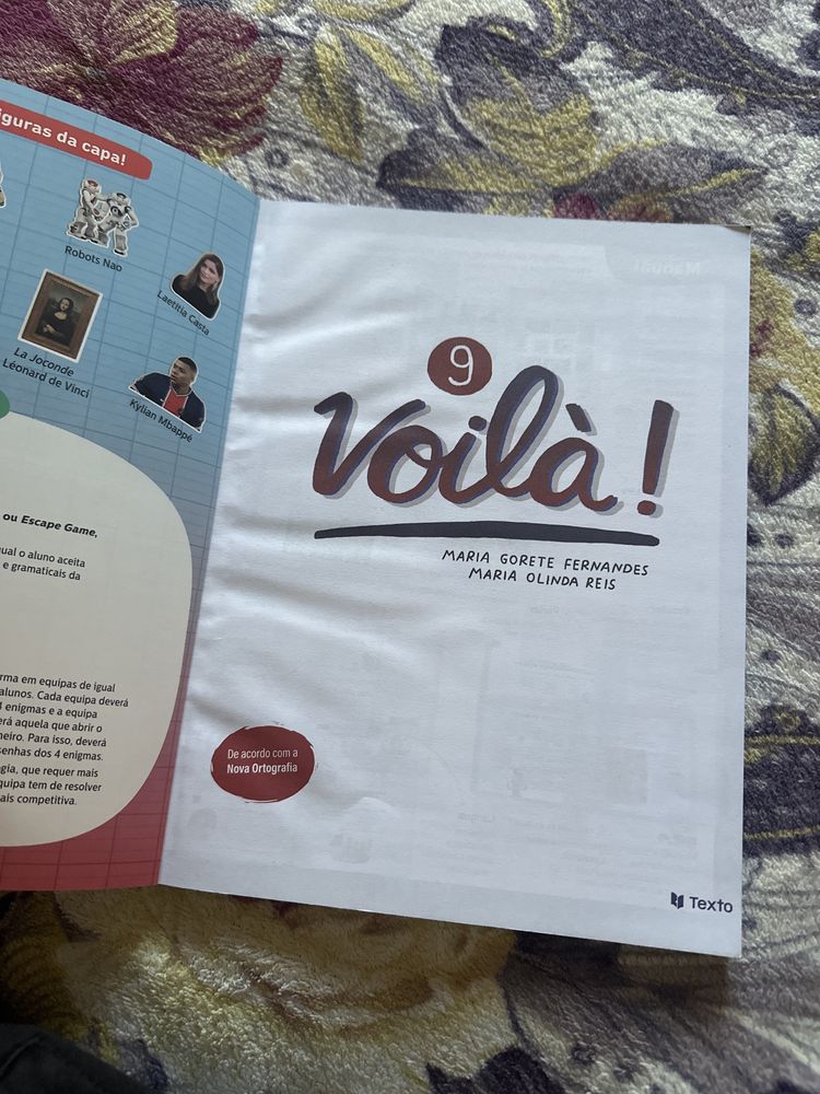 manual de Francês 9 ano (Voilà!)