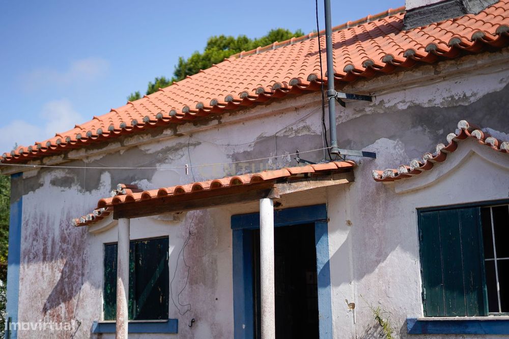 Restaurante - Charneca da Caparica