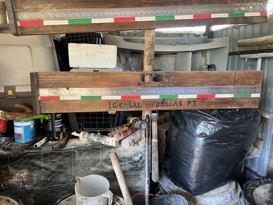 Indio Gigante Brasileiro