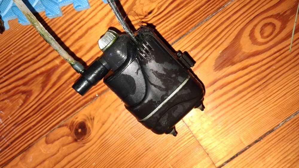 Akcesoria do akwarium - Filtry, Rośliny, Zamek i więcej