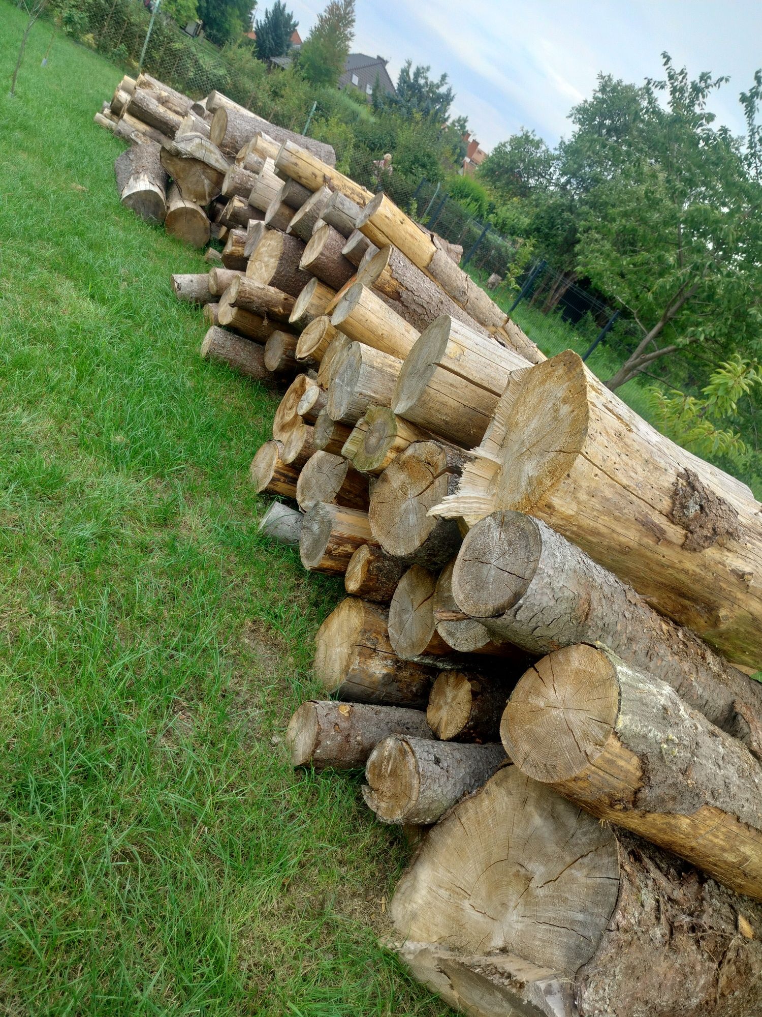 Sprzedam suche drzewo pocięte porąbane gotowe do palenia