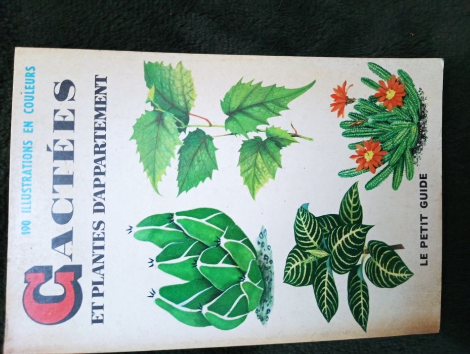 Cactees et plantes d'appartement - un petit guide de la serie ... 1966