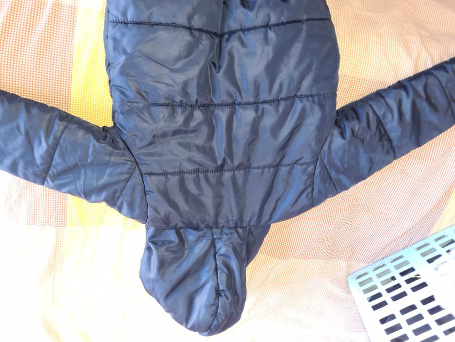 Kispo menino inverno