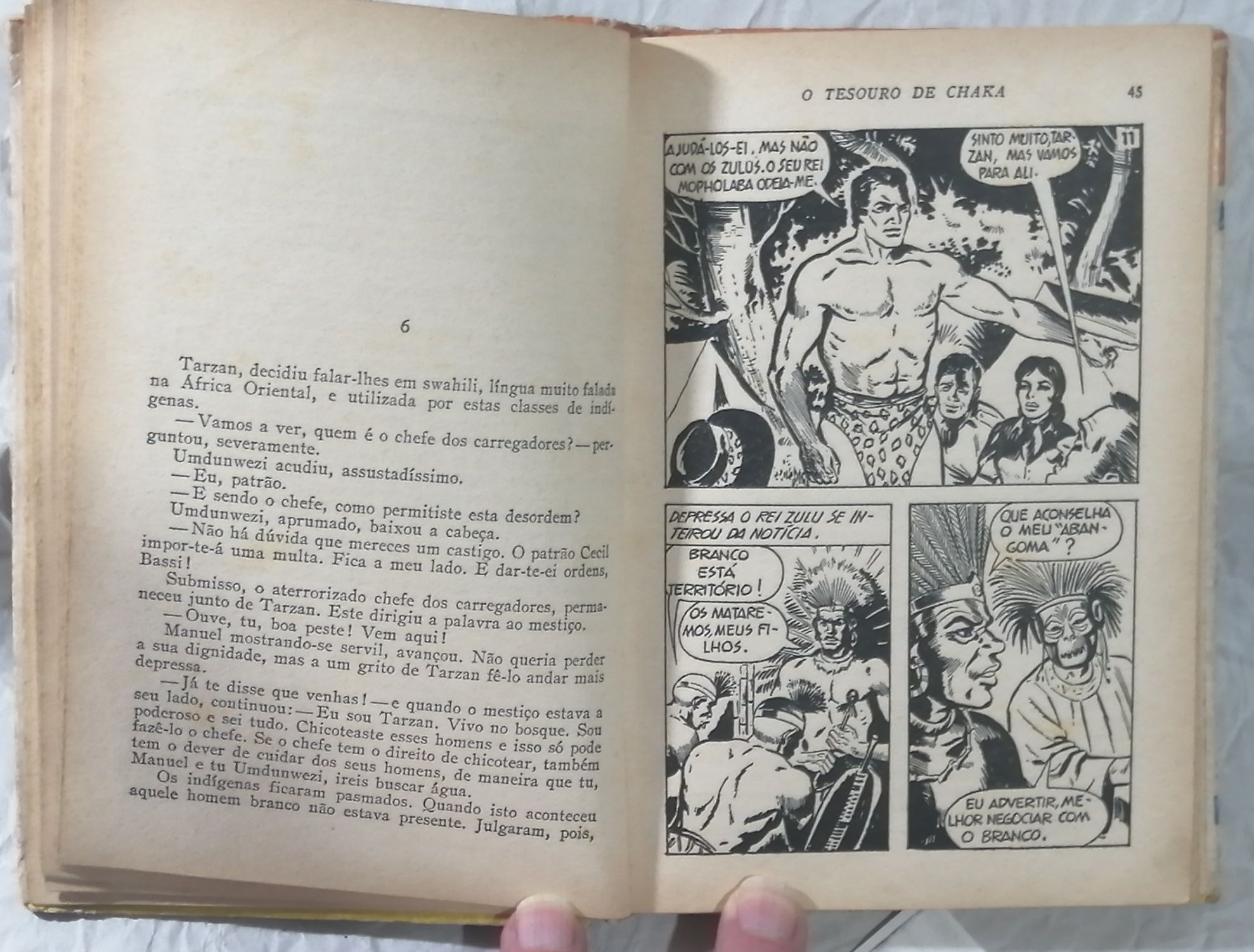 Tarzan o tesouro de chaka
