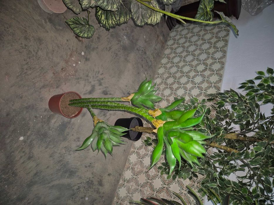 Planta plástico grande (3 plantas)