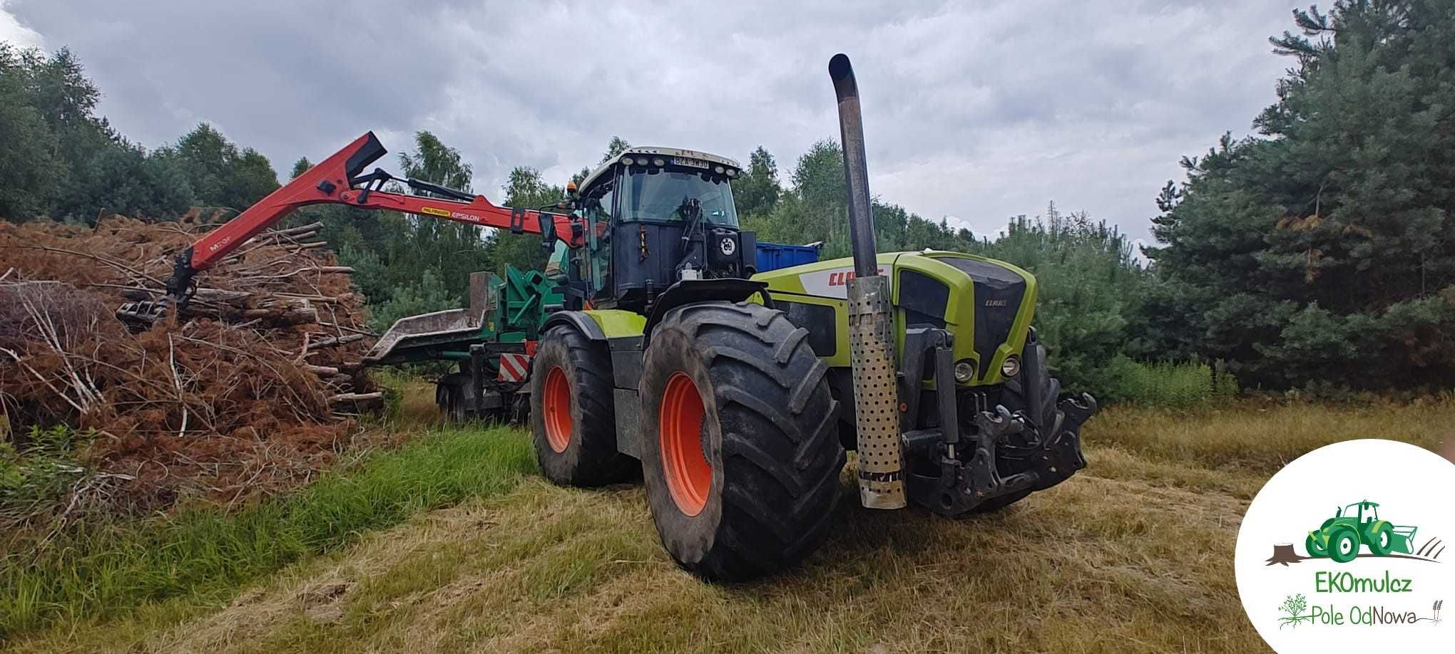 Wycinka/Zrębkowanie/Pozyskanie i skup biomasy/Oczyszczanie działek