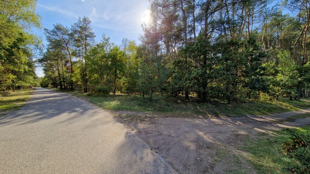 Działka leśna przy asfalcie, 3 ha, LAS