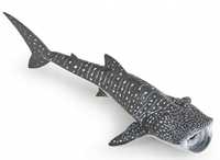 Rekin Wielorybi, Papo