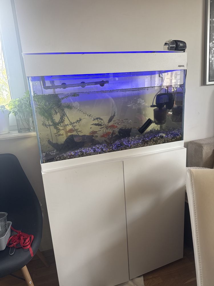 Akwarium aquael 110l s szafka i calym osprzetem