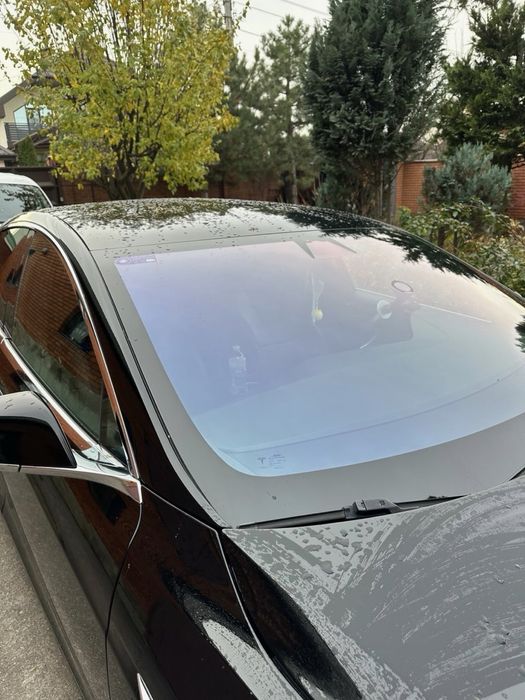 Tesla model S 100D CCS winter edition