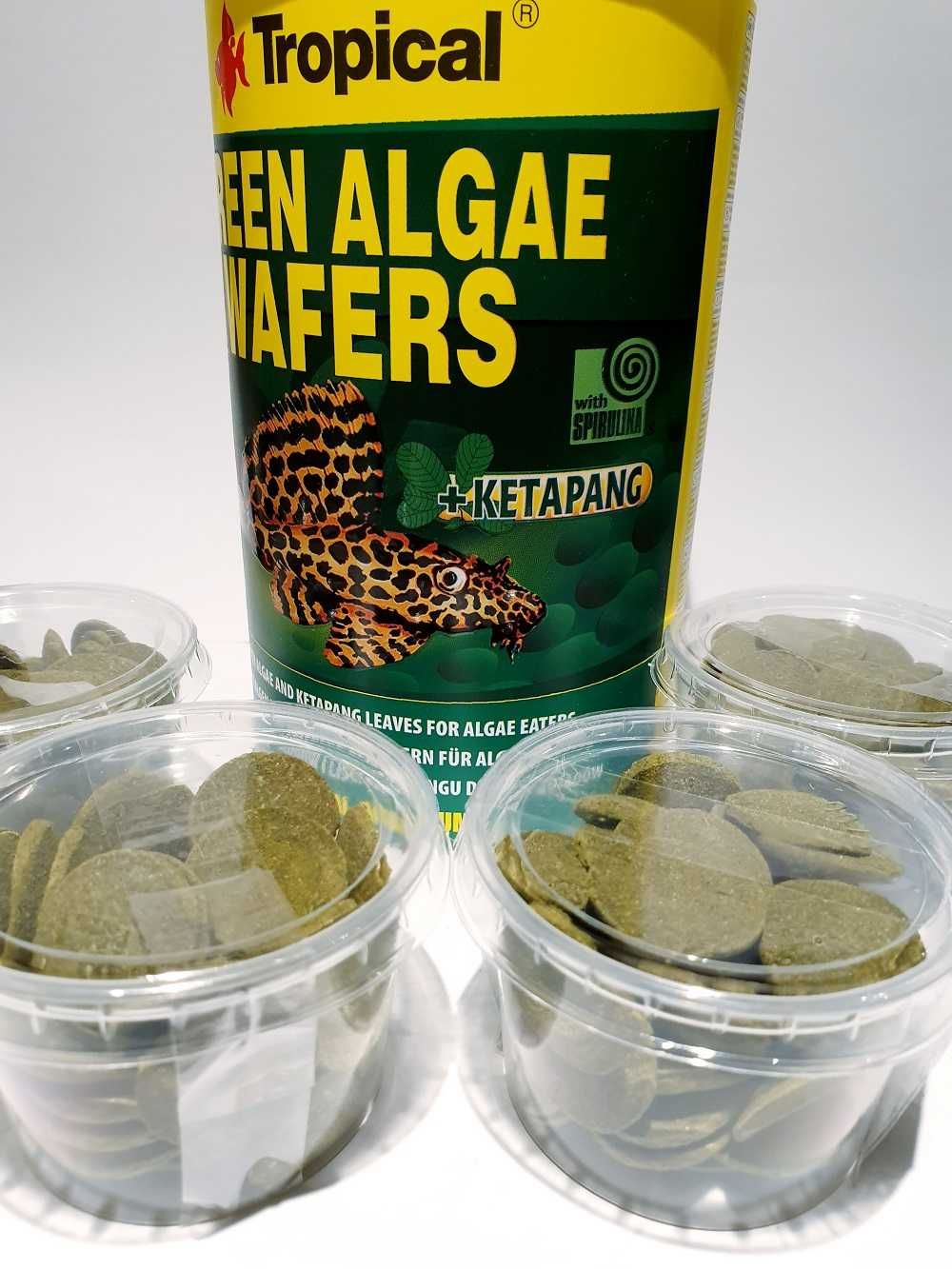 Pokarm Tropical Green Algae Wafers; Sklep AKWAREKS Kraków