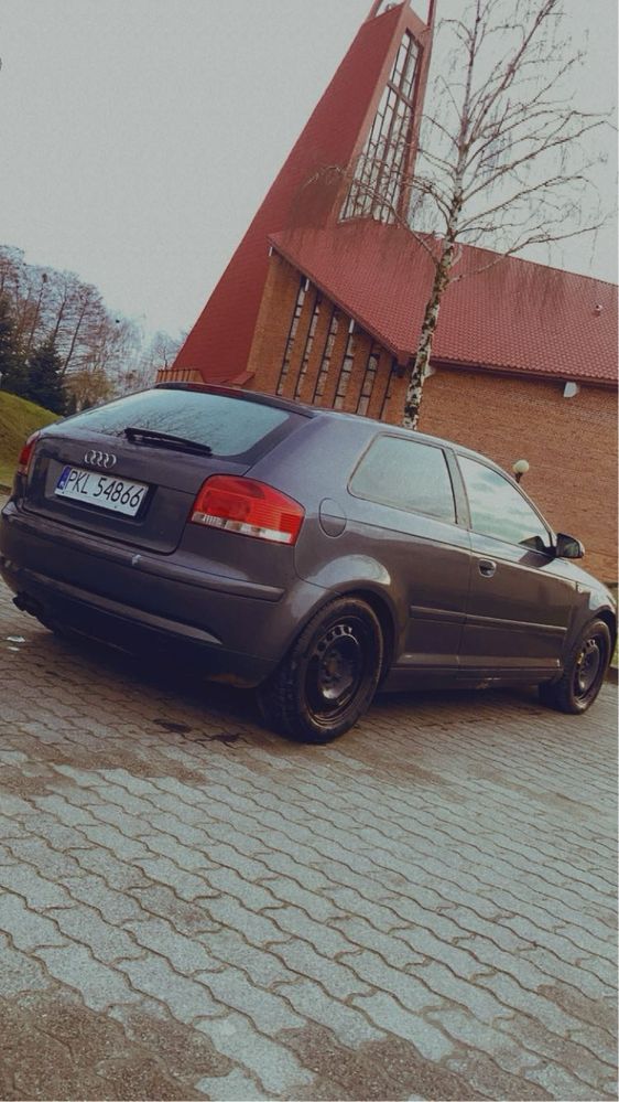 Audi A3 8P 1.9 TDI 05r