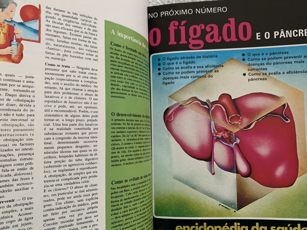 Enciclopedia antiga livro corpo humano orgaos olhos