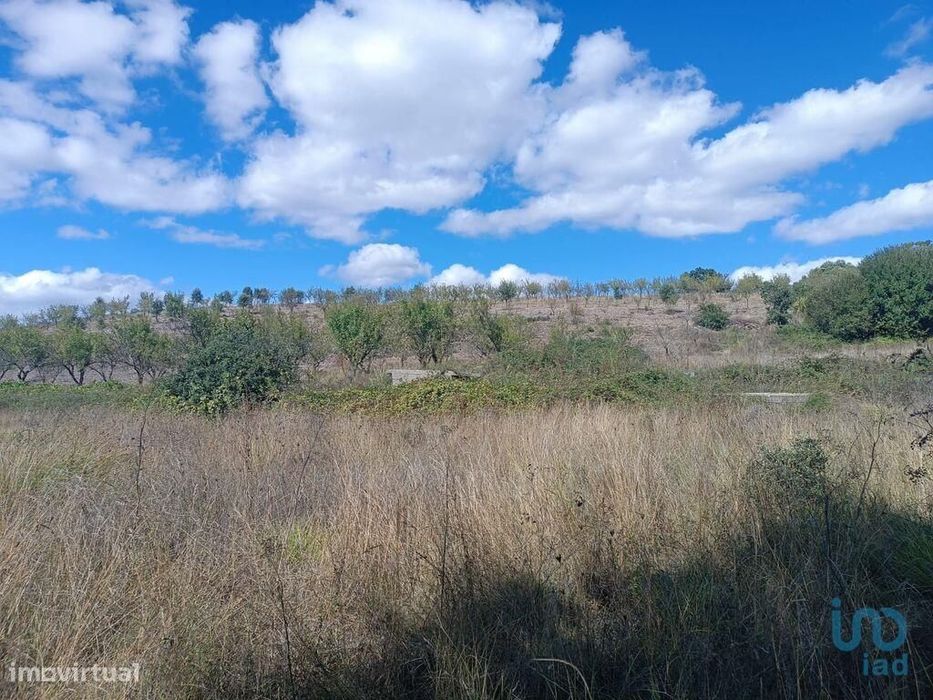Terreno Agrícola em Azinhoso de 2874,00 m2
