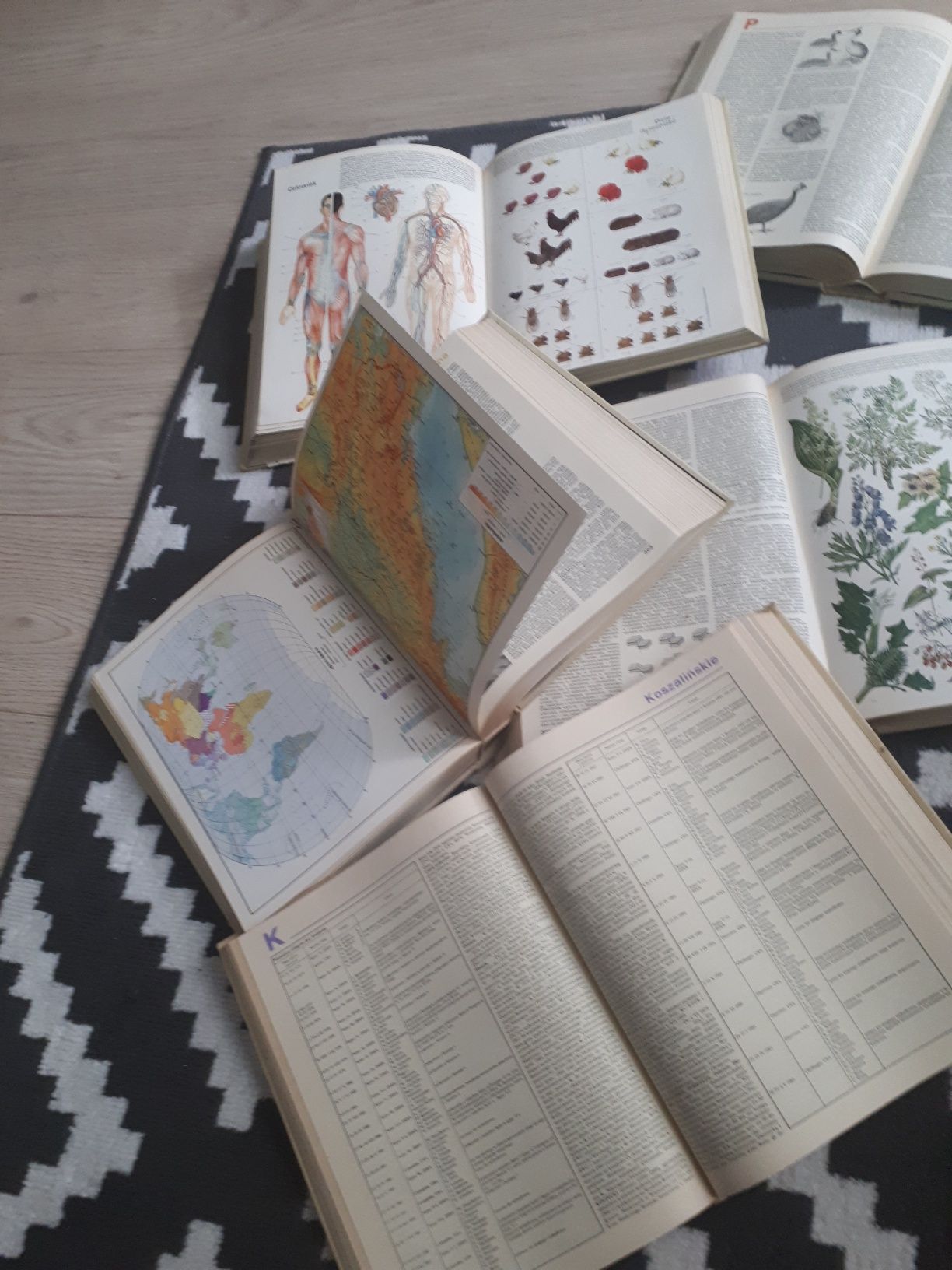 Sprzedam Encyklopedia Powszechna PWN 5 tomów