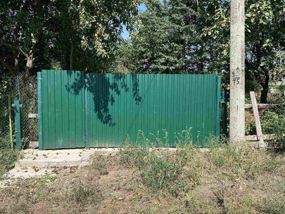 Будинок та  земельна ділянка поруч