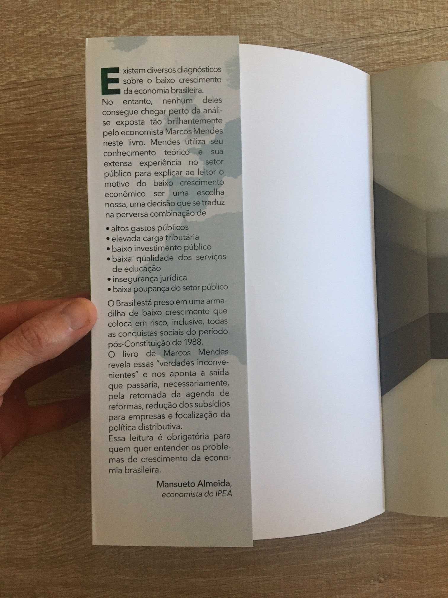 Por que o Brasil Cresce Pouco?
