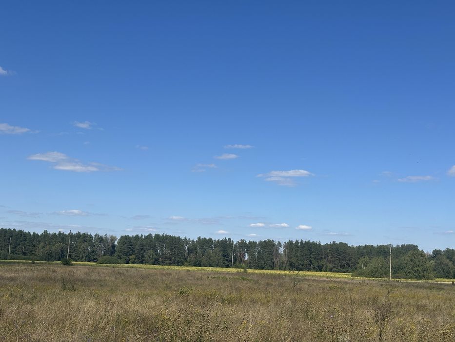 Пропонуємо до продажу земельну ділянкув с. Свидівок