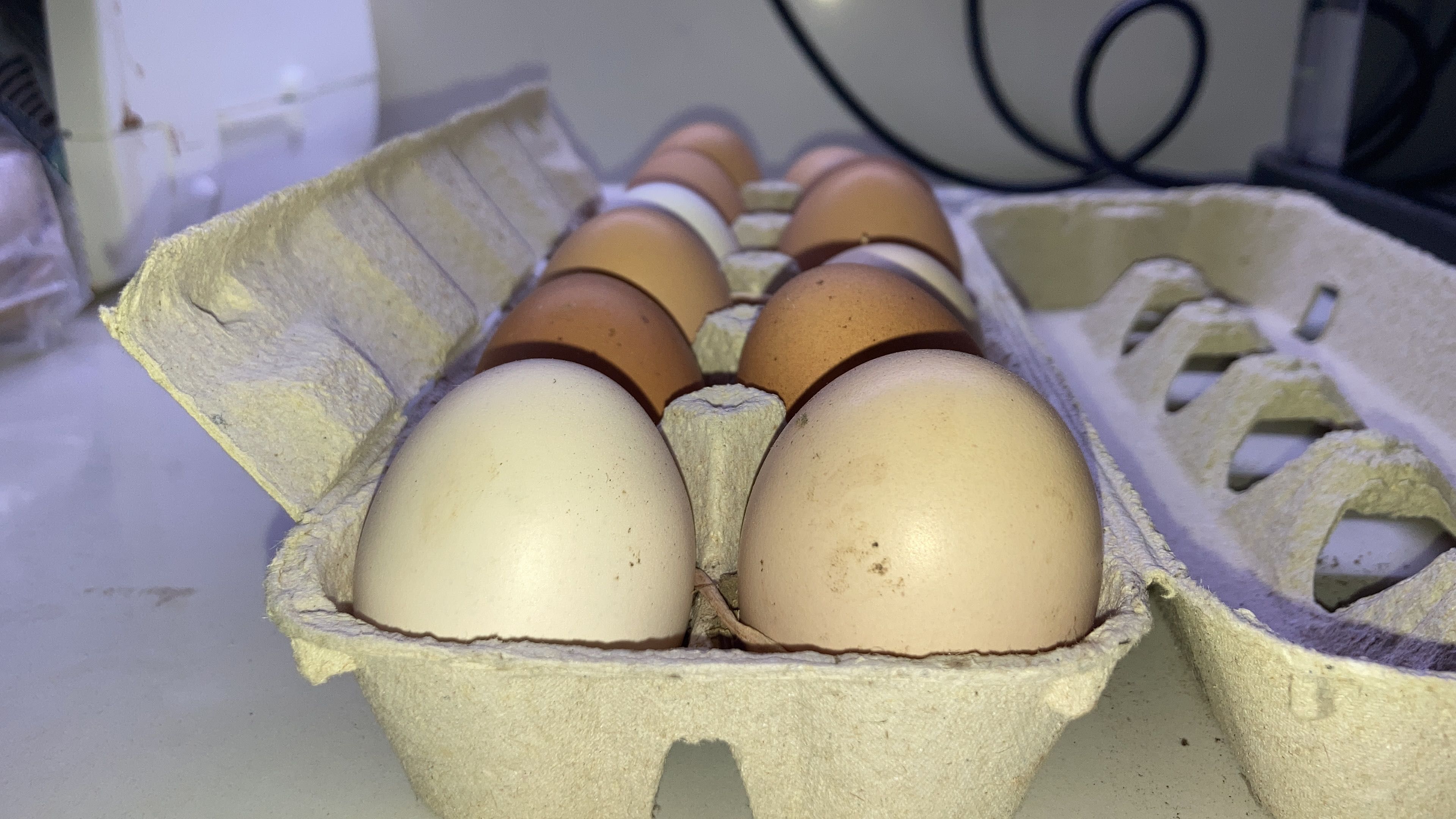 Ovos 100% puros e naturais