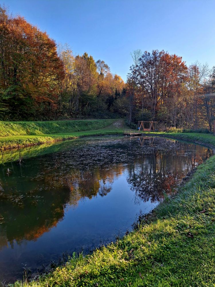 Domki Bieszczady "Żubrowe Wzgórze"