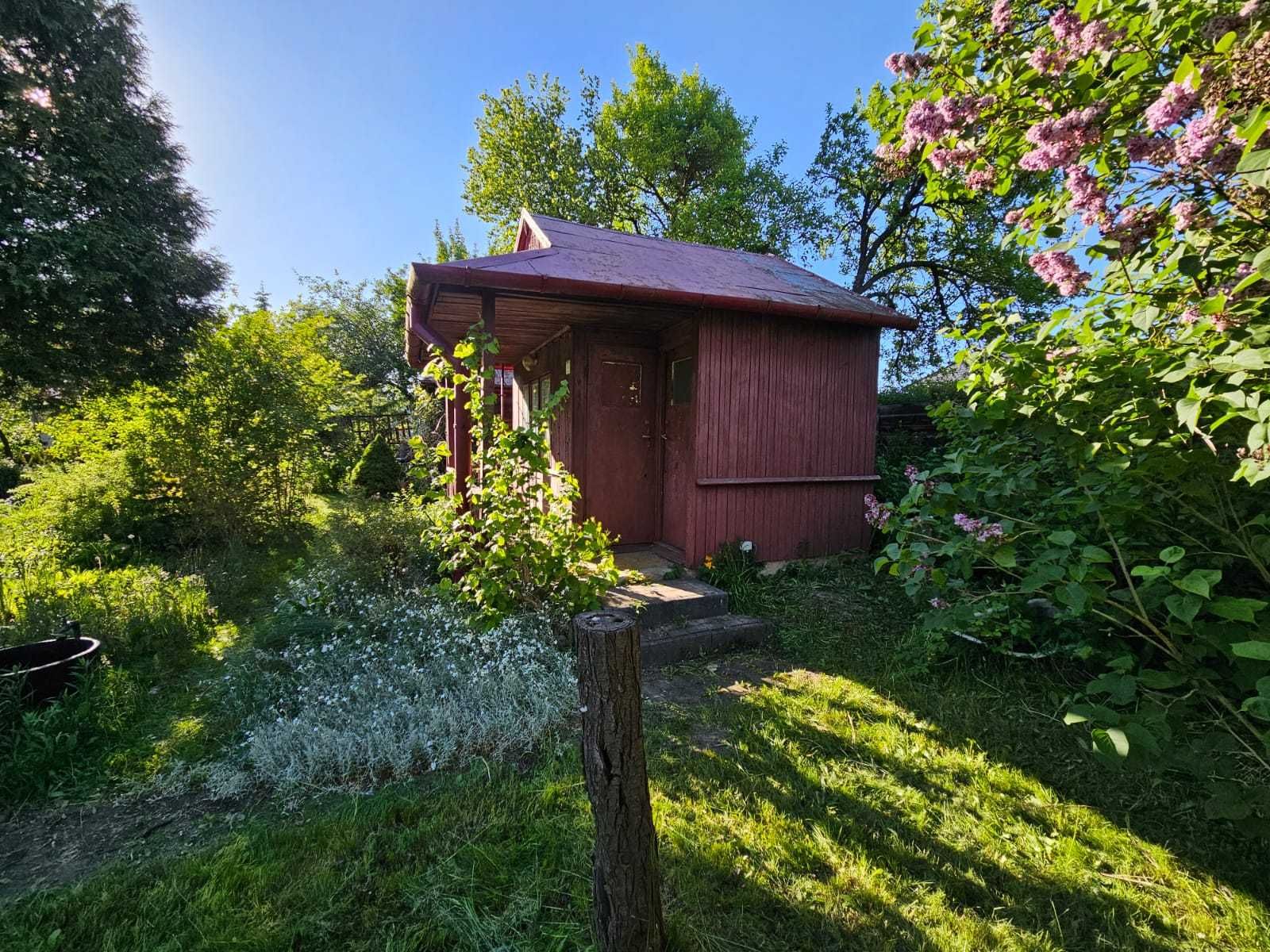 Sprzedam dzialke rodo Magnolia