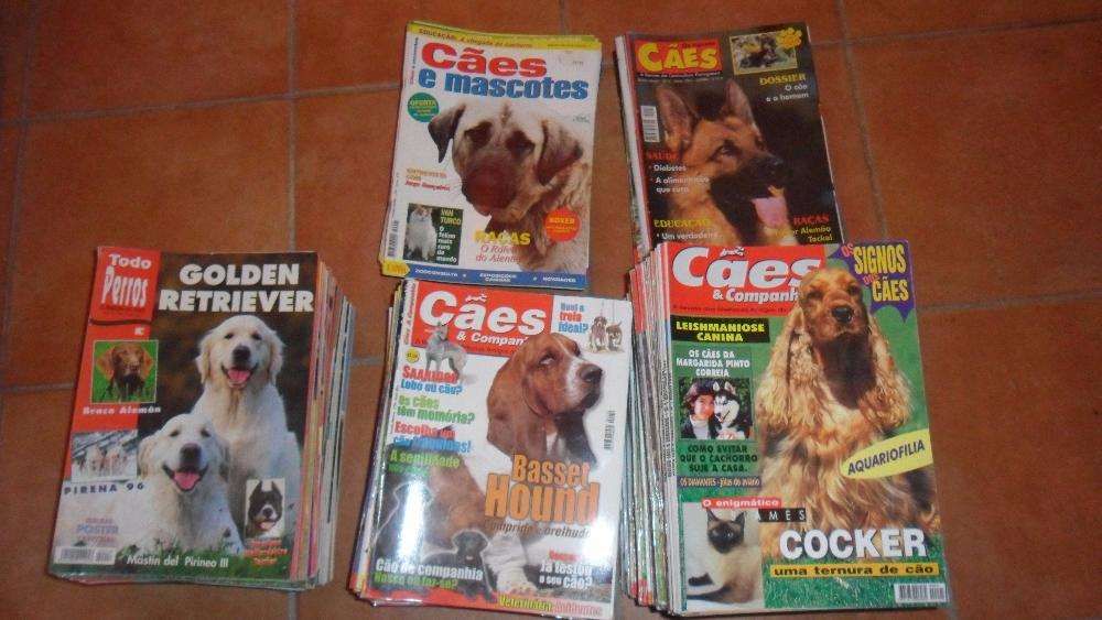 Revistas de cães! Primeiros números-Raro-Não vendo separado+Livros