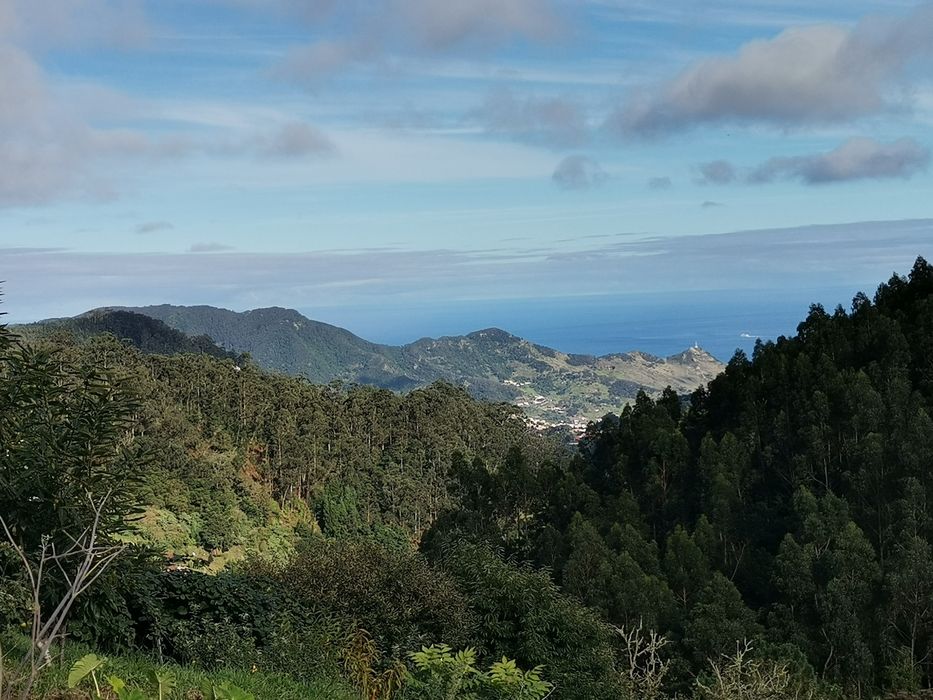 Permuto casa no Santo da Serra, por casa /ruína no Porto Santo  ou Fx