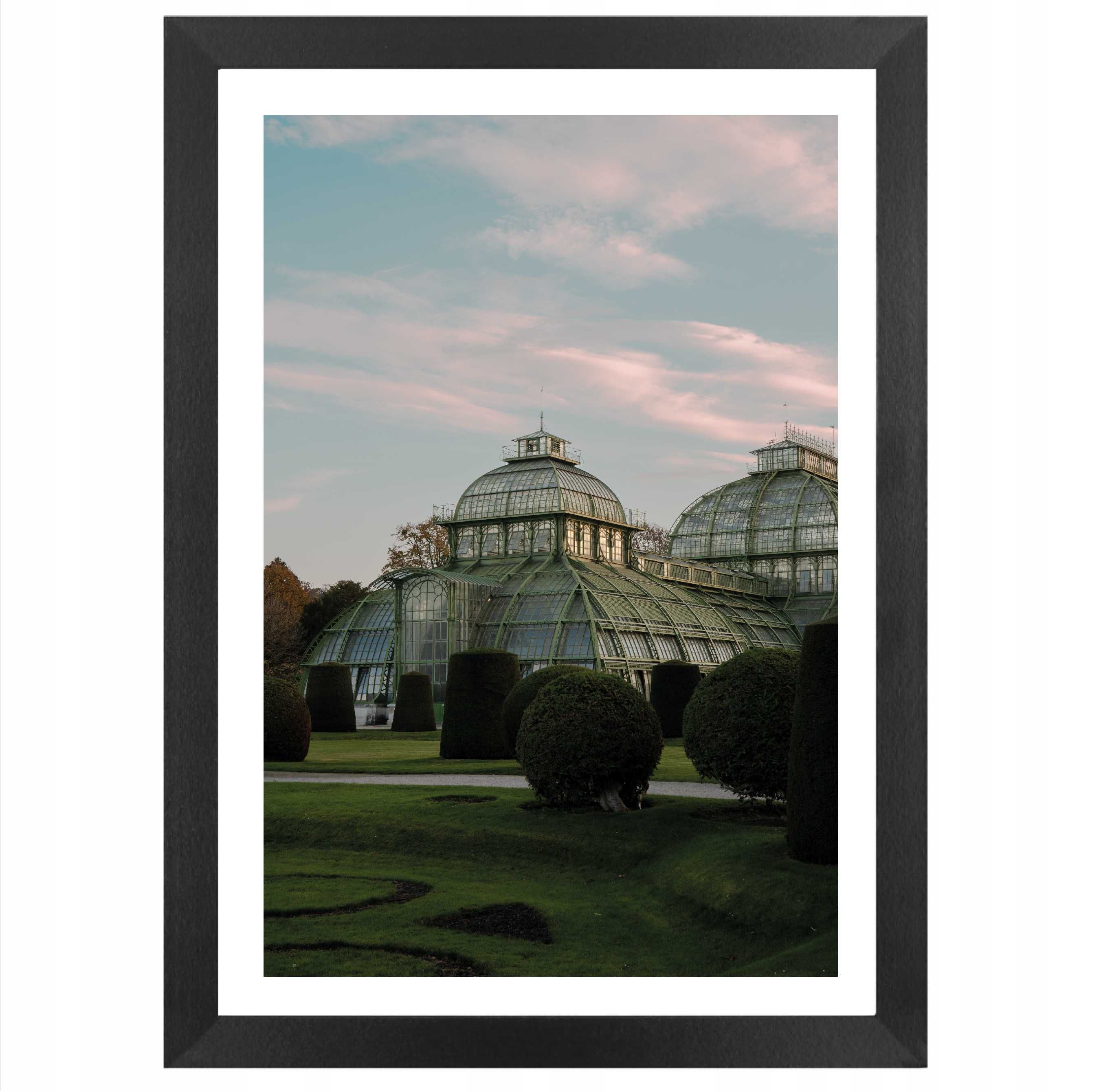 Plakat A3 Palmiarnia Schonbrunn Wiedeń