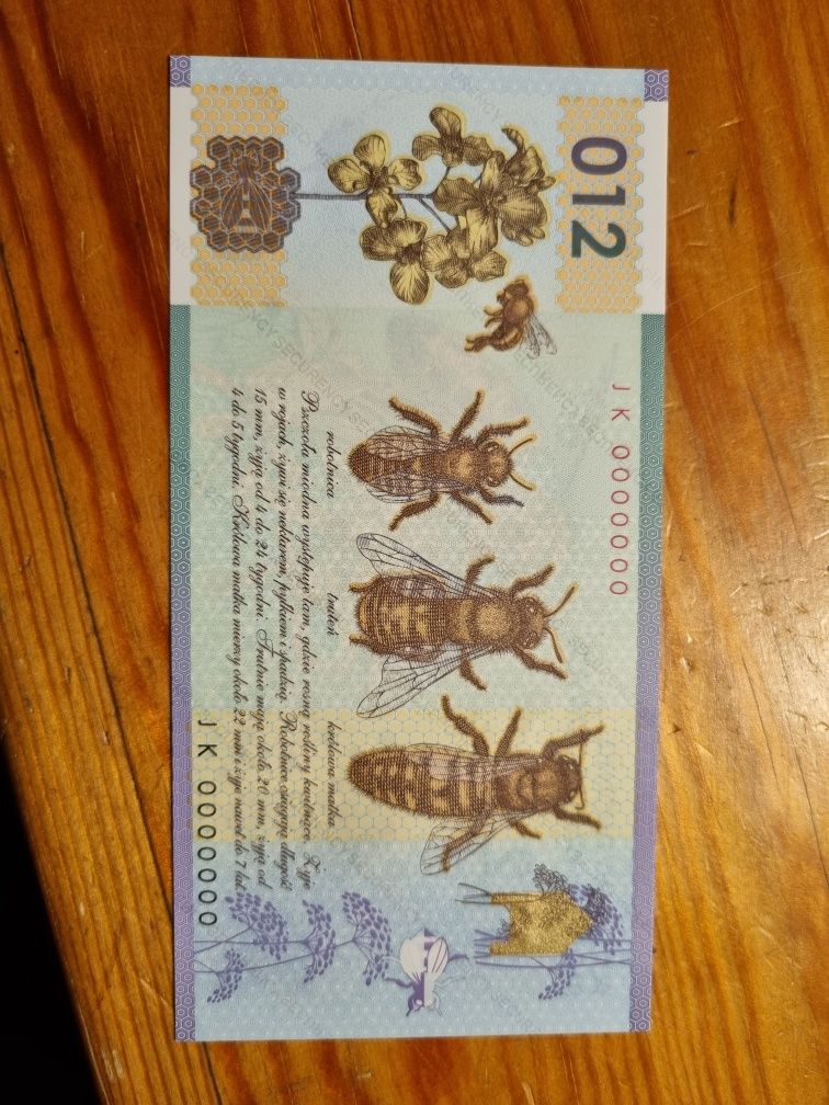 Banknot testowy Pszczoła Miodna 012 UNC