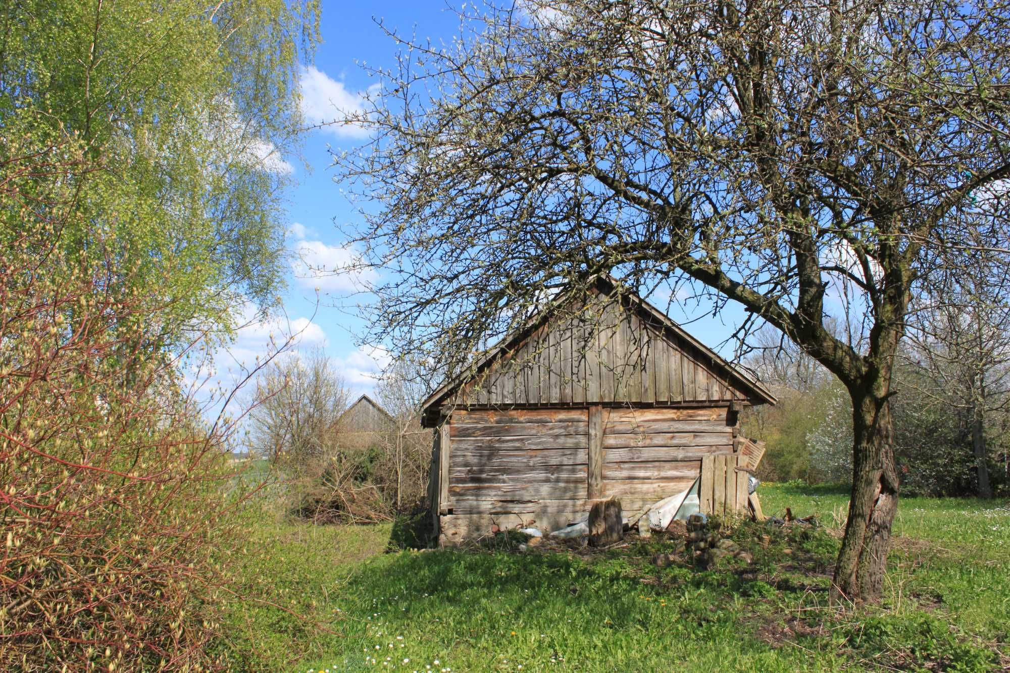 siedlisko działka 1700 m2 wieś Sawice, 120 km od Warszawy, mazowieckie