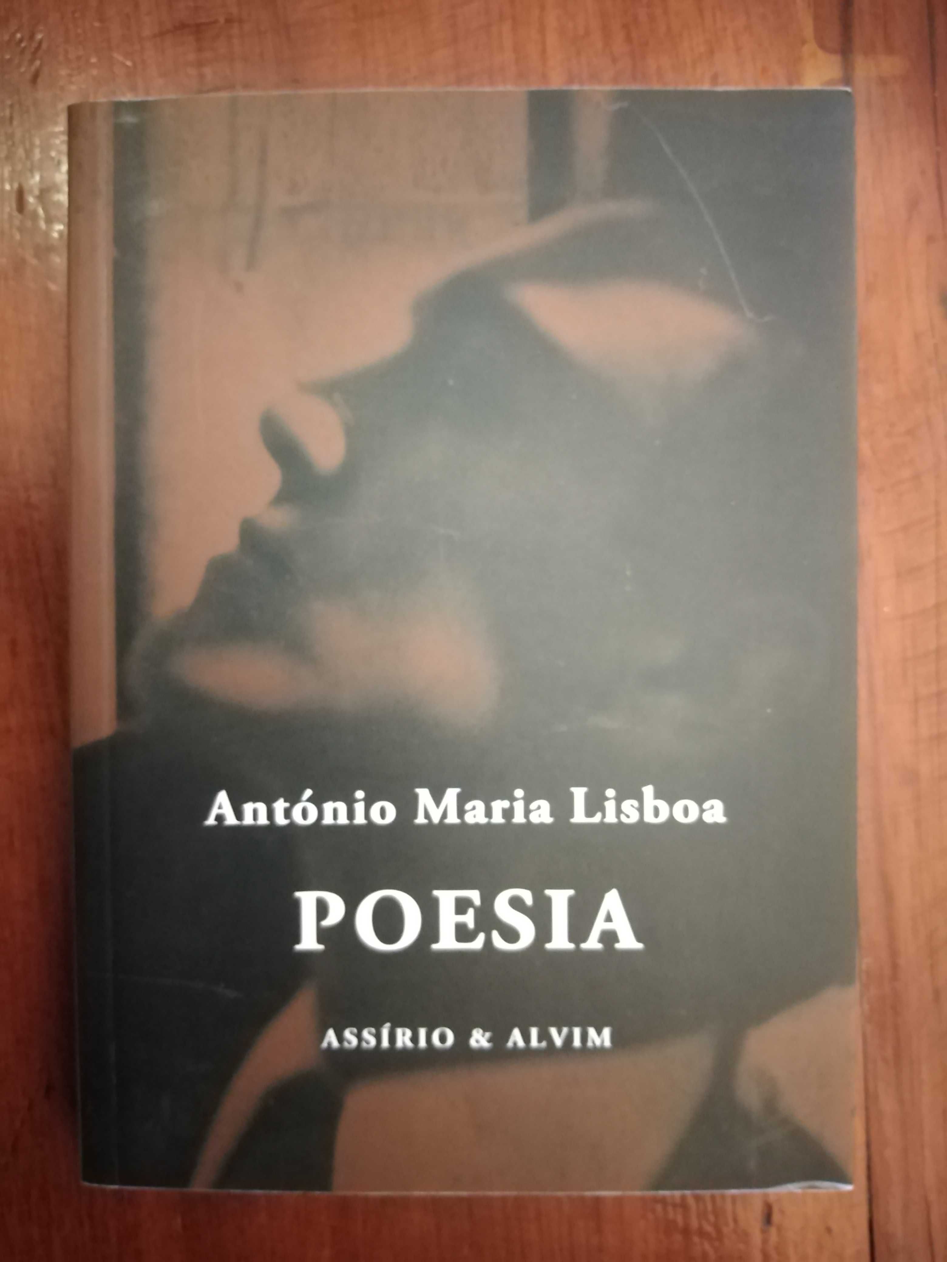 António Maria Lisboa - Poesia