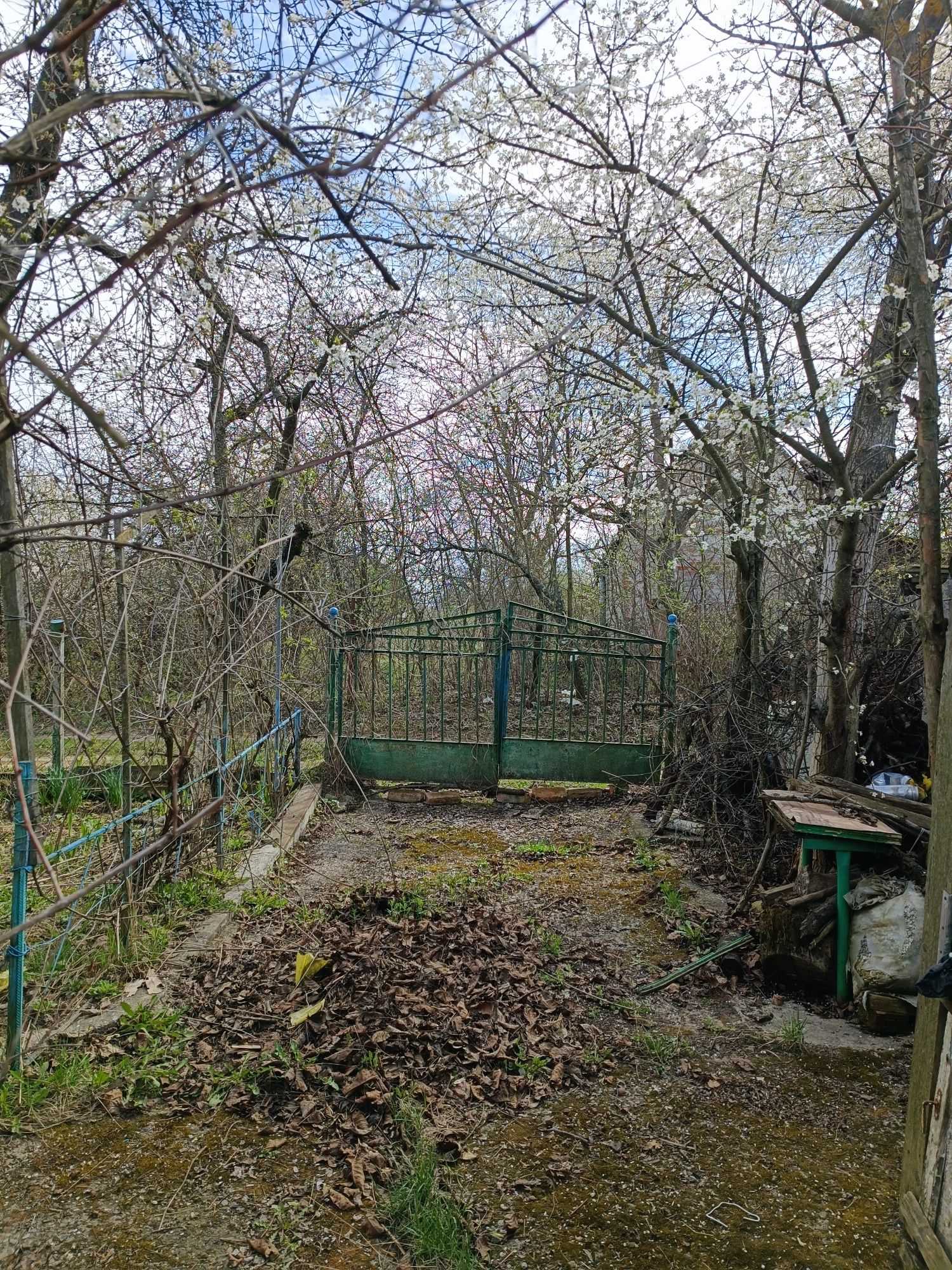 Продам дачну ділянку